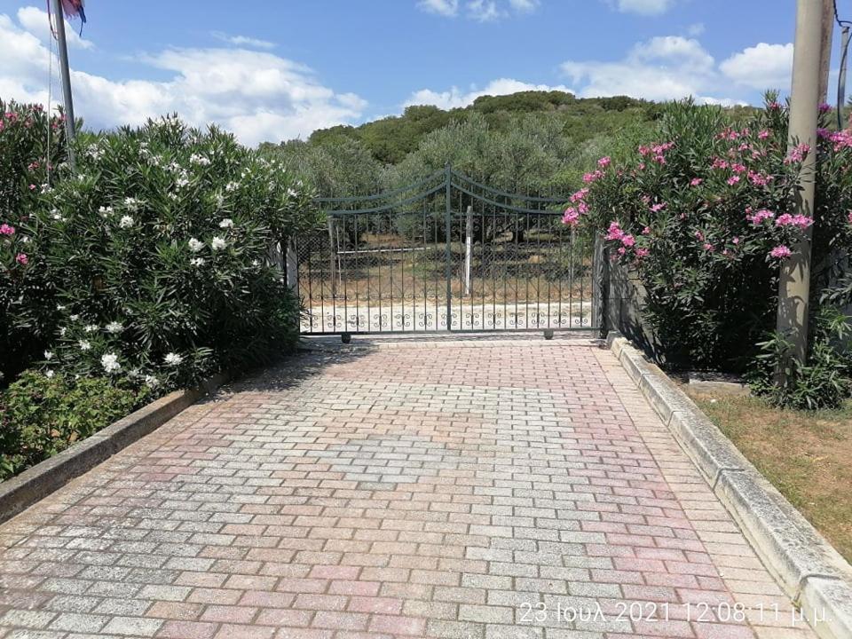 Elena'S Green House Nea Iraklitsa Exterior photo