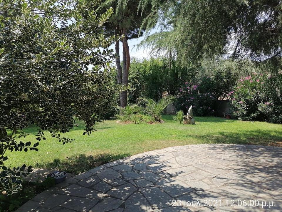 Elena'S Green House Nea Iraklitsa Exterior photo